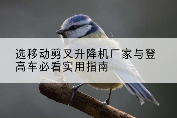 曲周电动升降机厂家-选移动剪叉升降机厂家与登高车必看实用指南