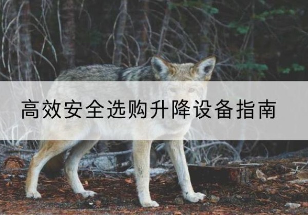 曲周升降货梯厂家推荐-*安全选购升降设备指南